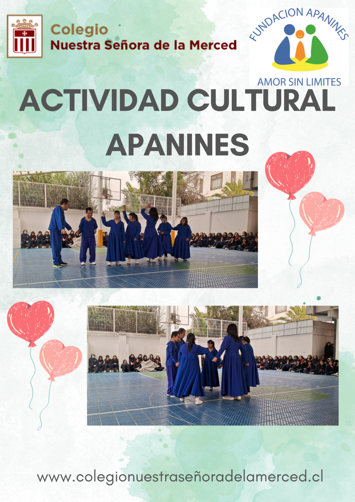 Actividad Apanines