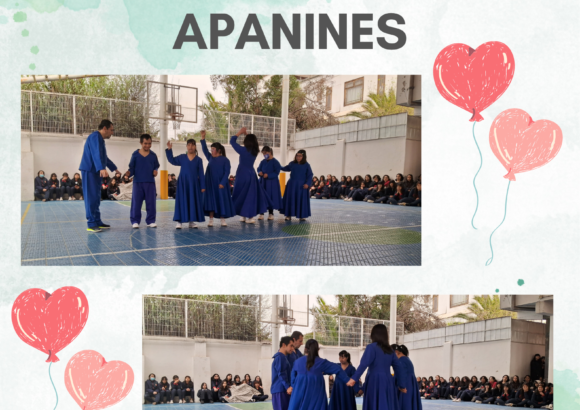 Actividad Apanines